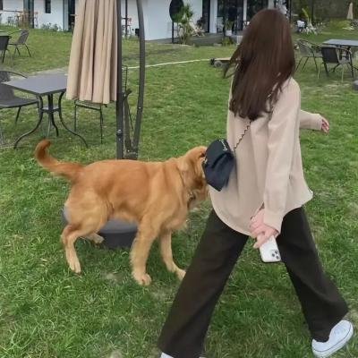 当怪物来敲门